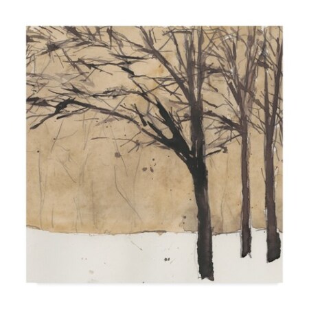 Trademark Fine Art Samuel Dixon 'Forest Sketch Ii' Canvas Art, 14x14 WAG06424-C1414GG